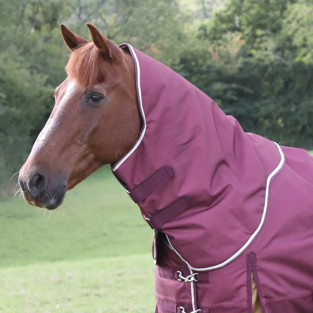 Shires Highlander Plus 100g Turnout Rug Neck Cover