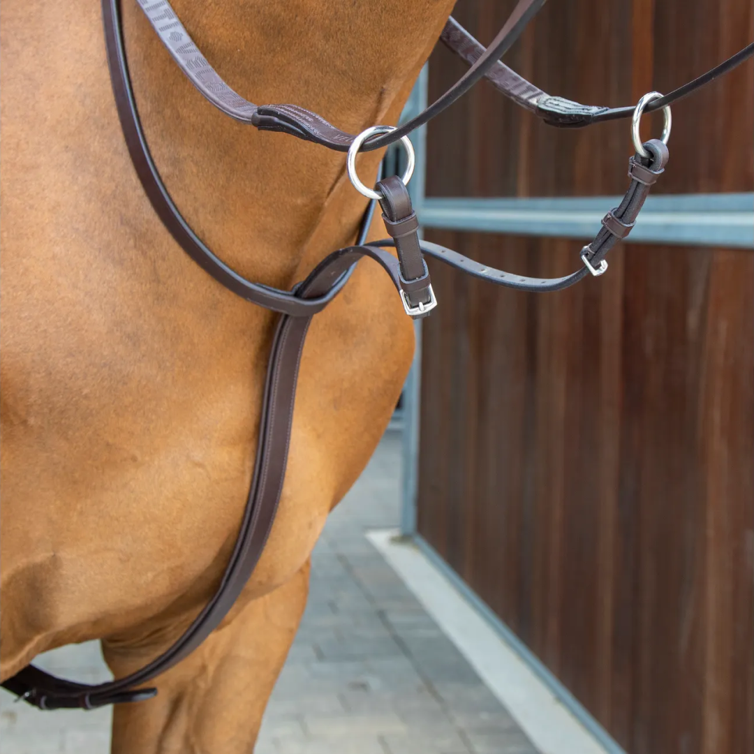Shires Lusso Running Martingale