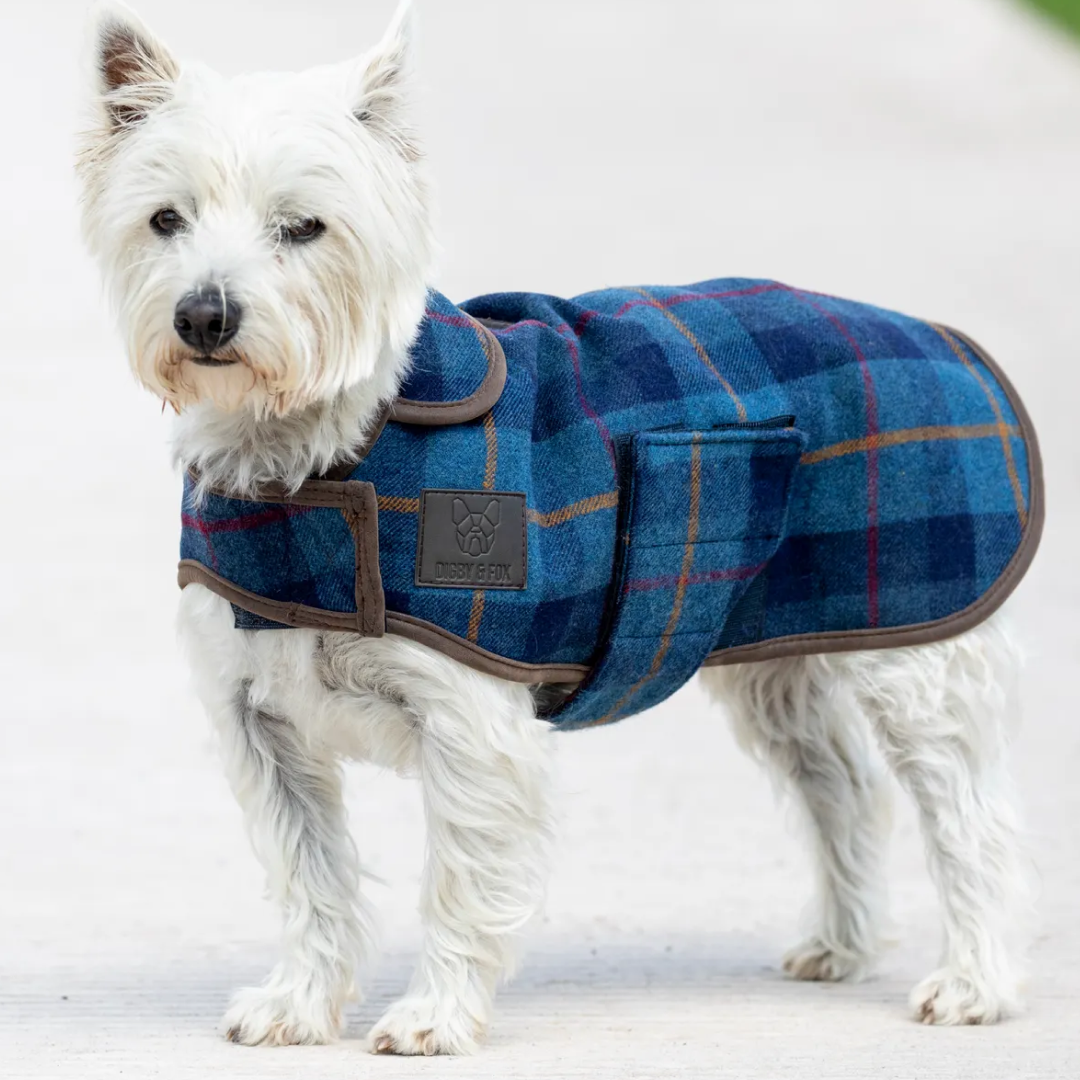 Shires Digby & Fox Tweed Dog Coat