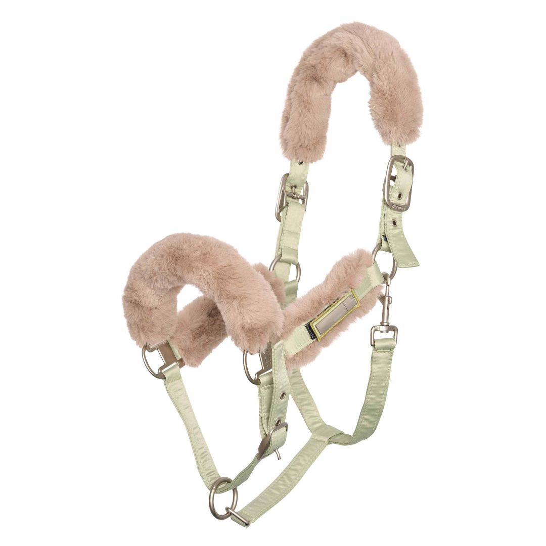 HV Polo Classic Headcollar