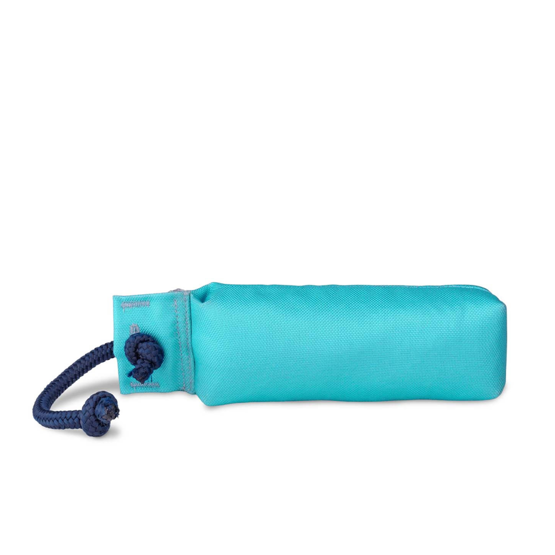 Coachi Training Dummy