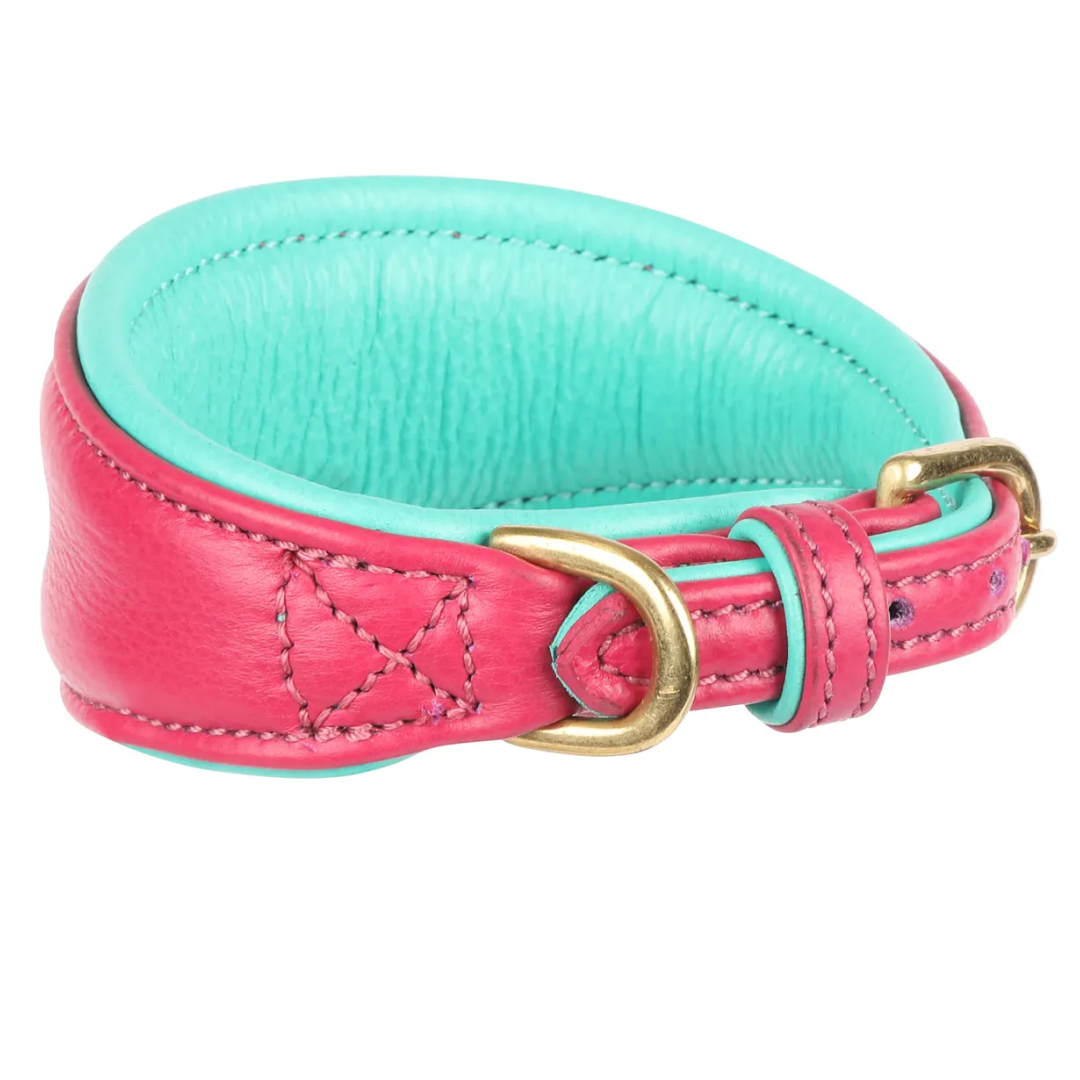 Shires Digby & Fox Padded Greyhound Collar