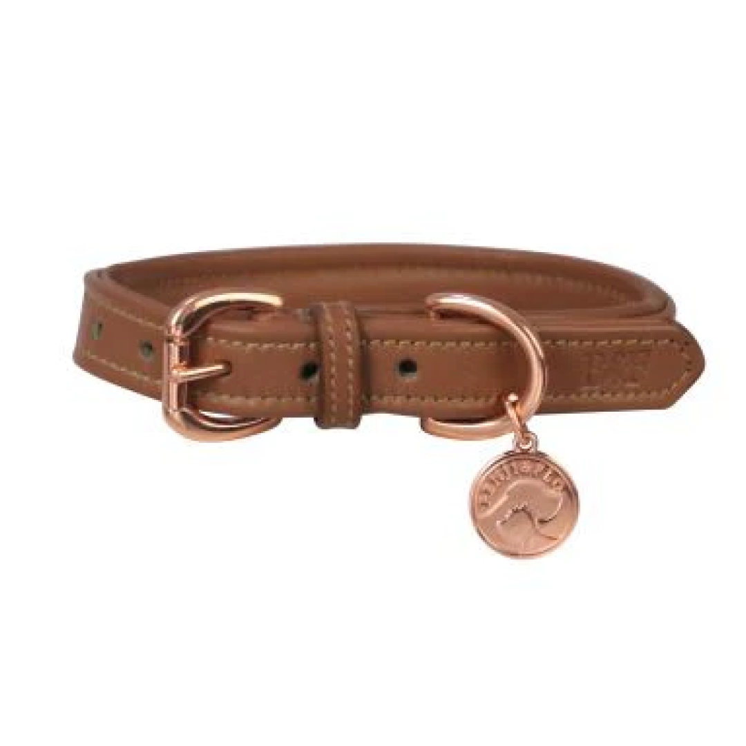 Benji & Flo Deluxe Padded Leather Dog Collar