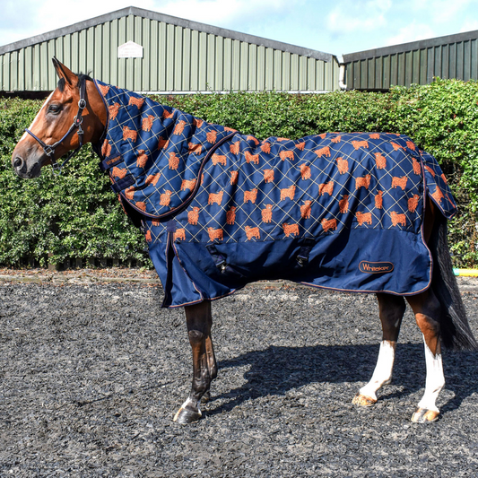 Whitaker Angus 170g Combo Turnout Rug