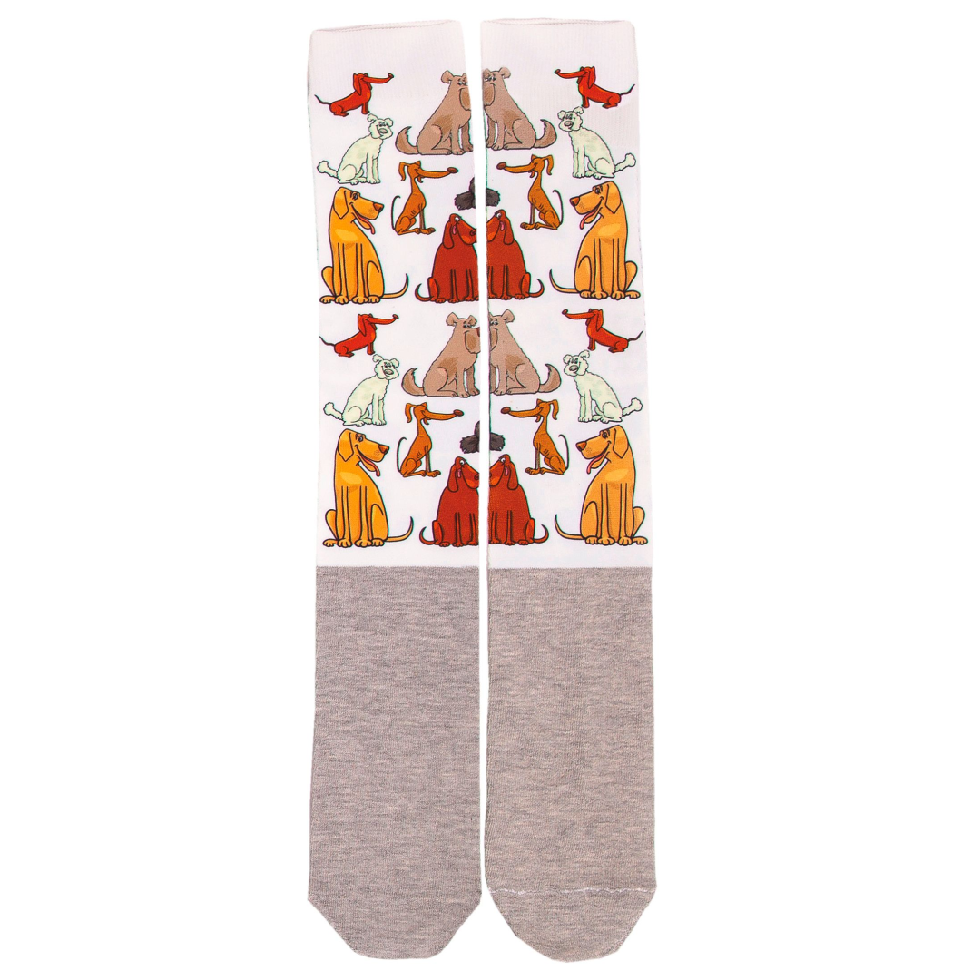 Equi-Sential Happy Socks
