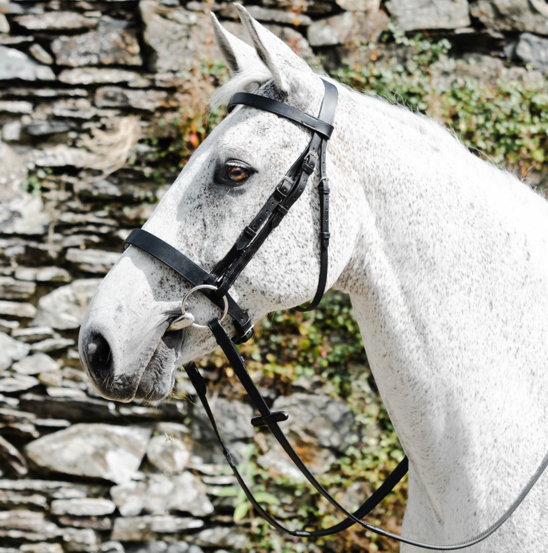 Mackey Classic Hunt Bridle with Reins