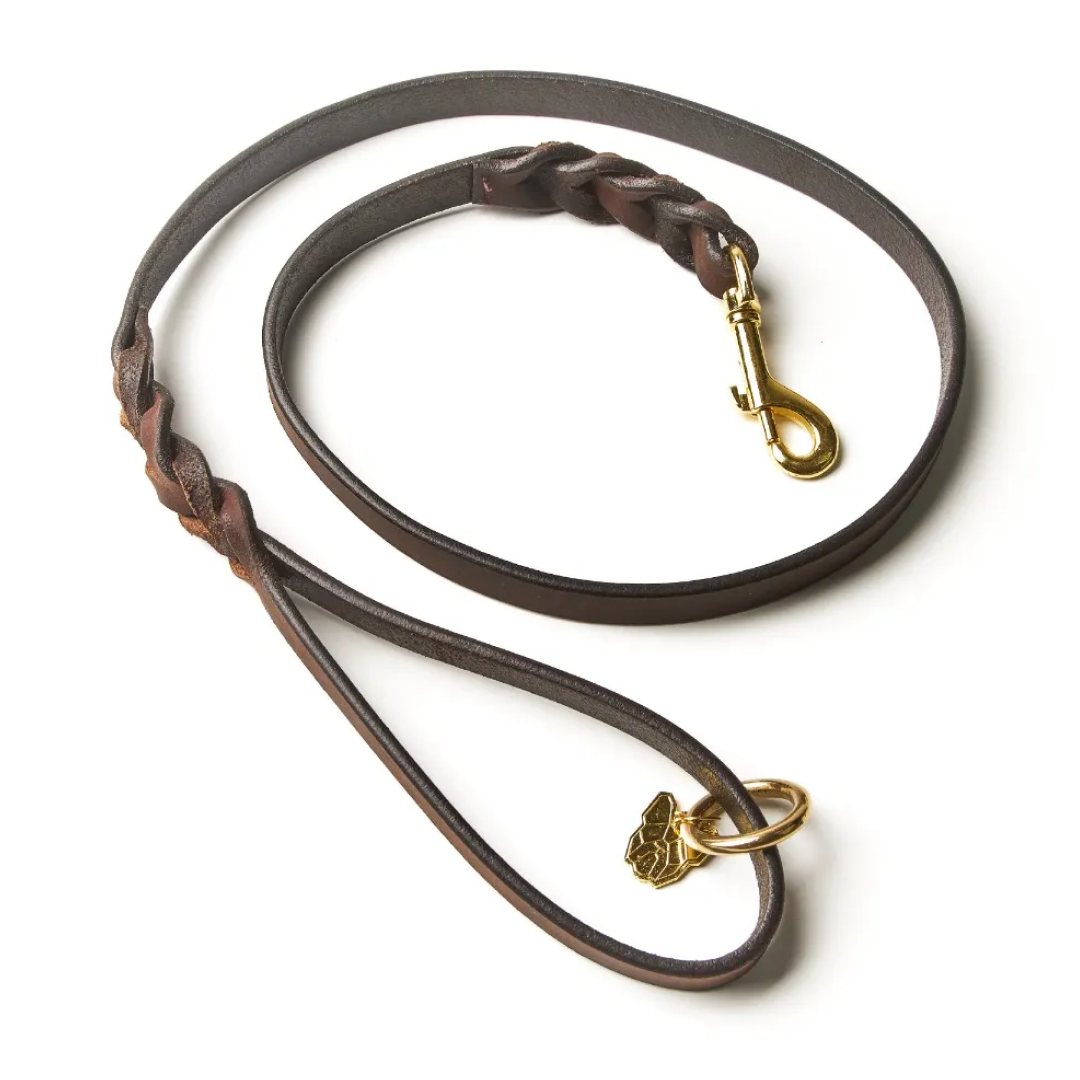 Shires Digby & Fox Braided Dog Lead