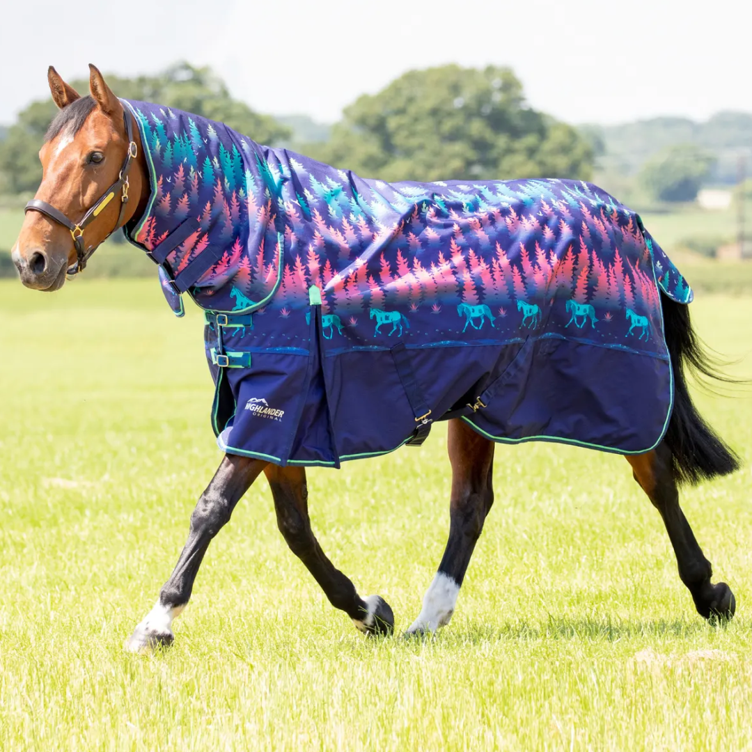 Shires Highlander Original 200g Turnout Combo Rug