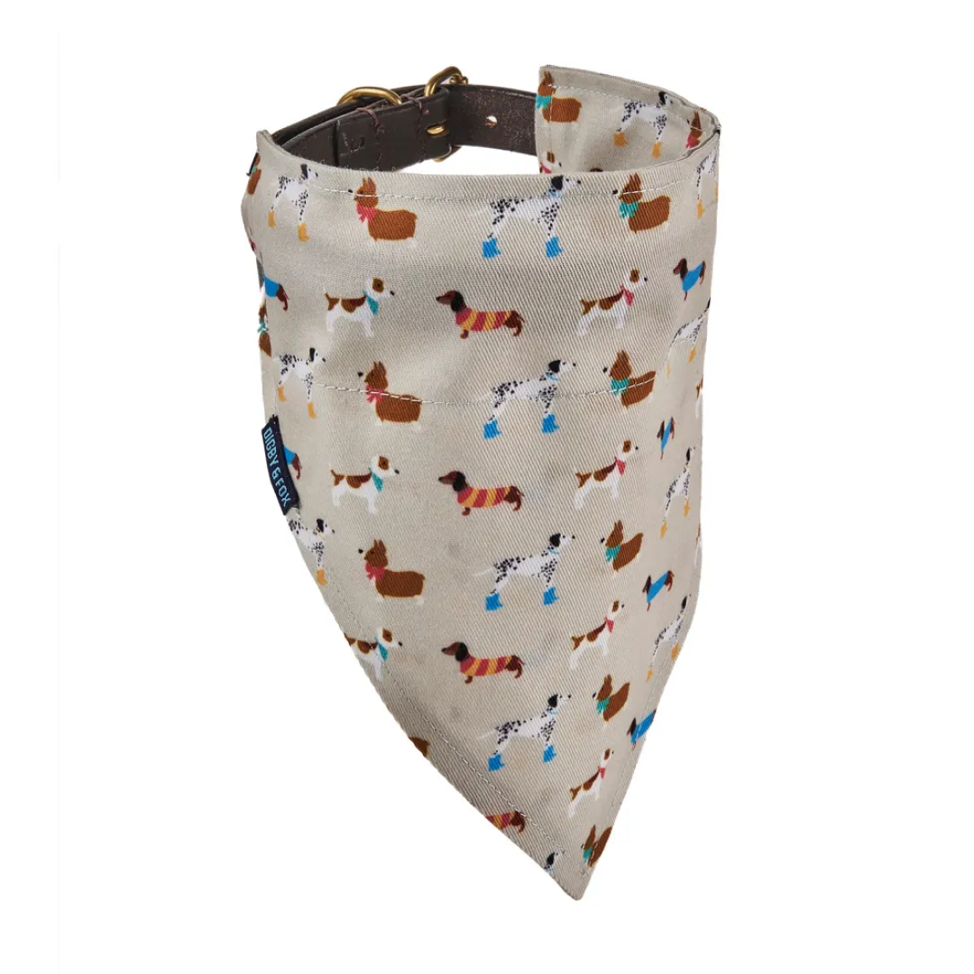 Shires Digby & Fox Bandana