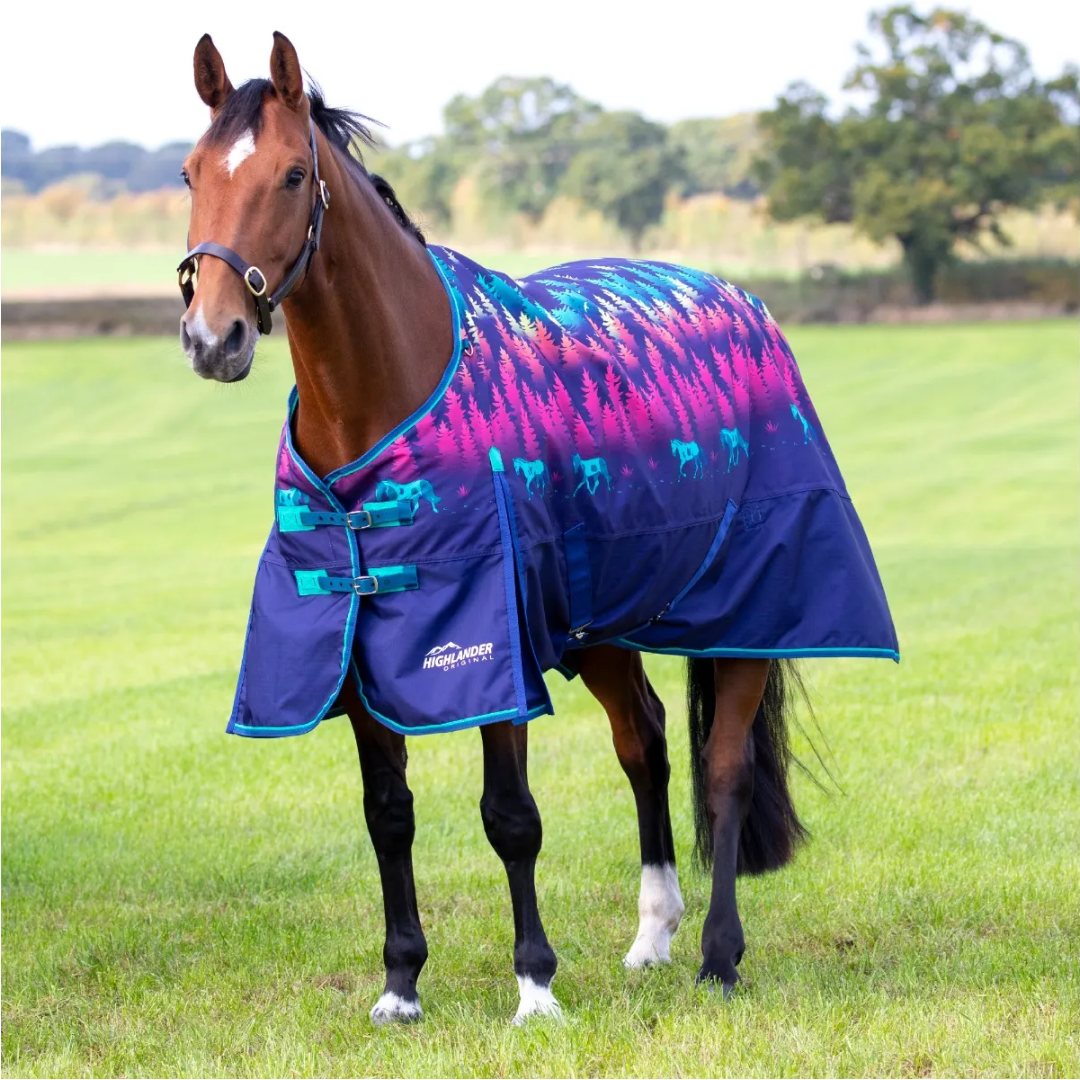 Shires Highlander Original 200g Turnout Rug