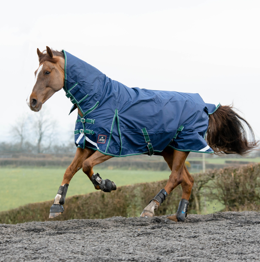 Mackey Keadeen Plus Full Neck 100G Turnout Rug