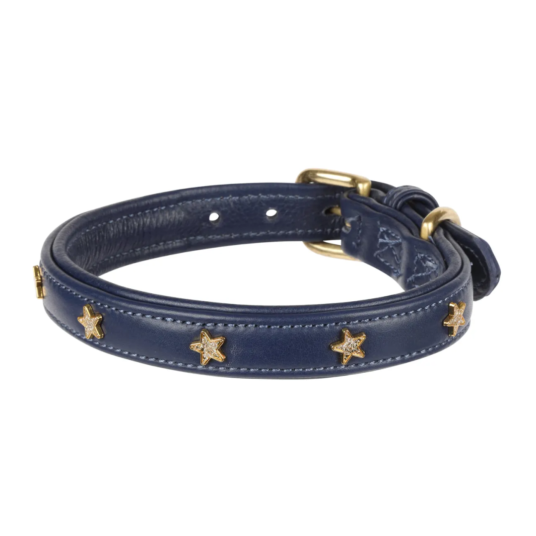 Shires Digby & Fox Star Dog Collar