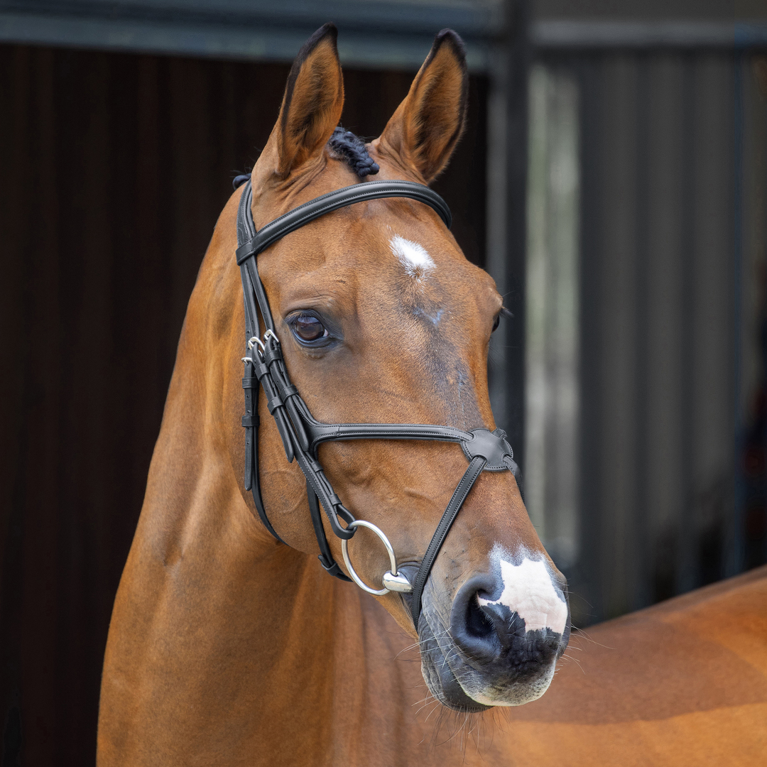 Shires Lusso Grackle Bridle