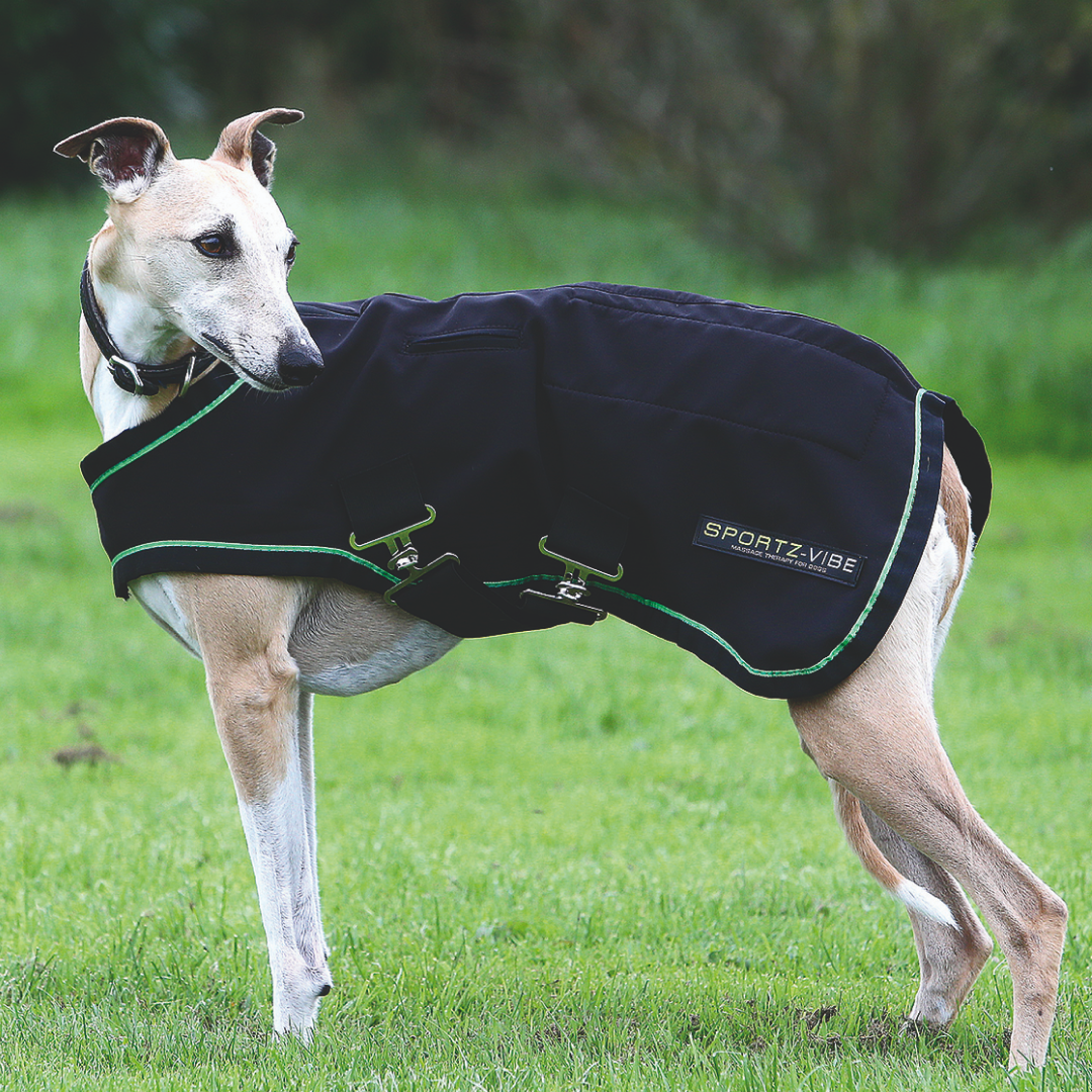 Sportz-Vibe Dog Rug