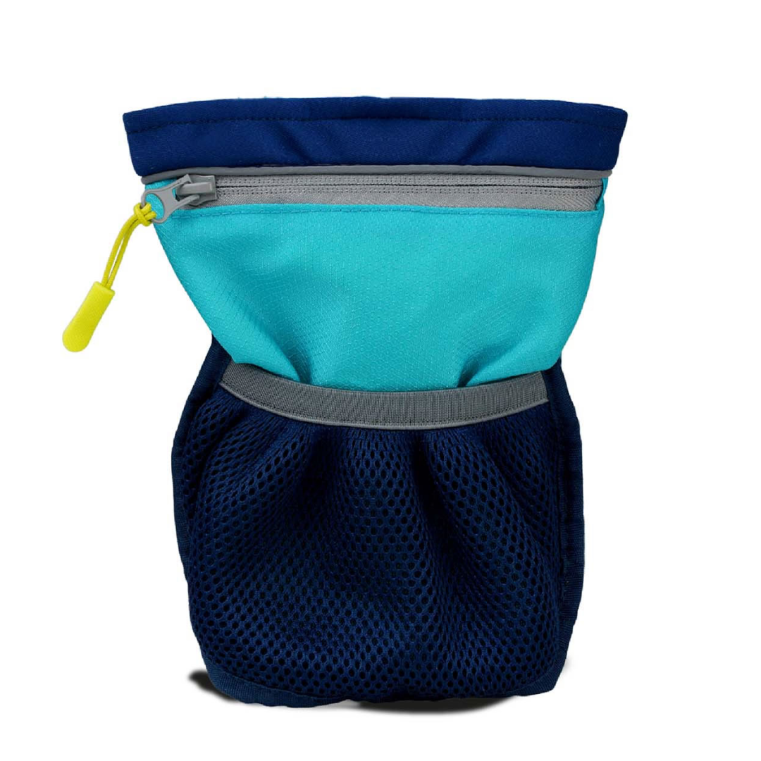 Coachi Pro Train & Treat Bag