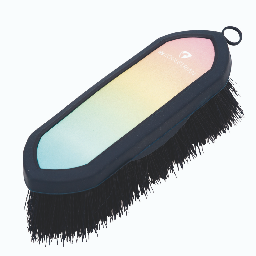 Hy Equestrian Ombre Dandy Brush