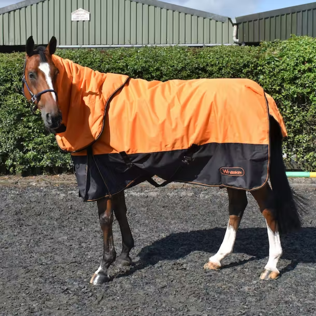 Whitaker Lutton 170g Combo Turnout Rug