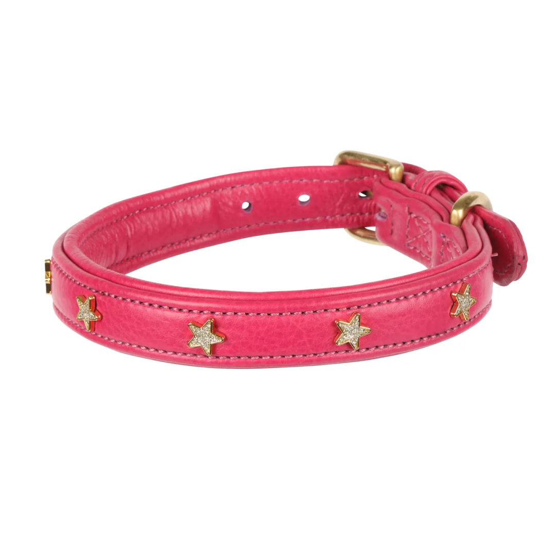 Shires Digby & Fox Star Dog Collar
