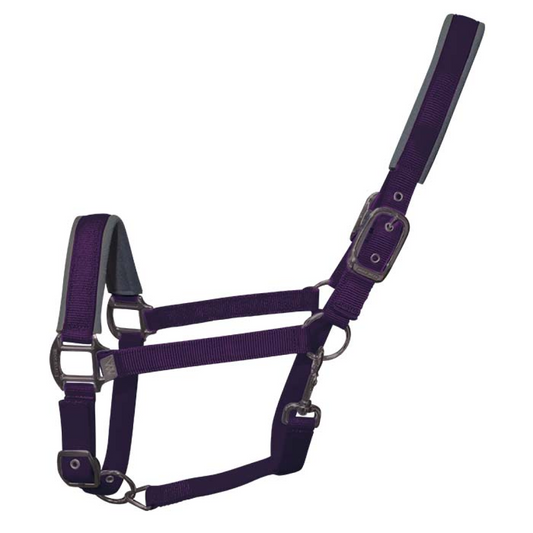 Woof Wear Colour Fusion Contour Headcollar