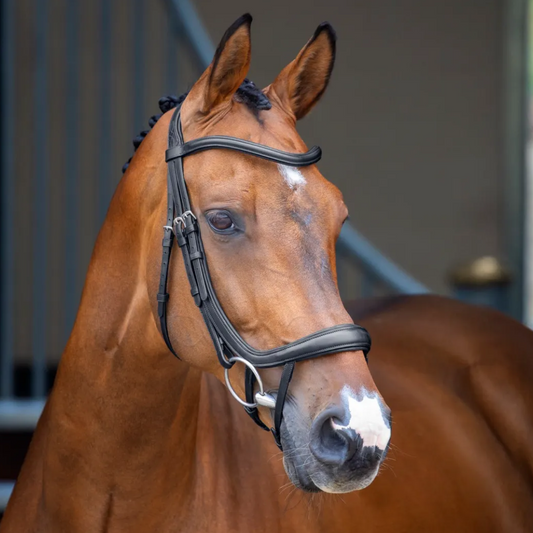 Shires Lusso Ergonomic Curved Flash Bridle