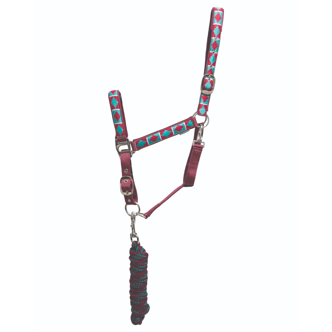 Hy Equestrian Woven Polo Head Collar and Lead Rope