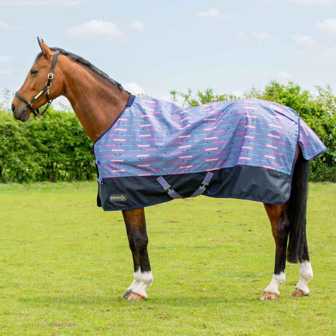 StormX Original Dorris The Dachshund 0g Turnout Rug