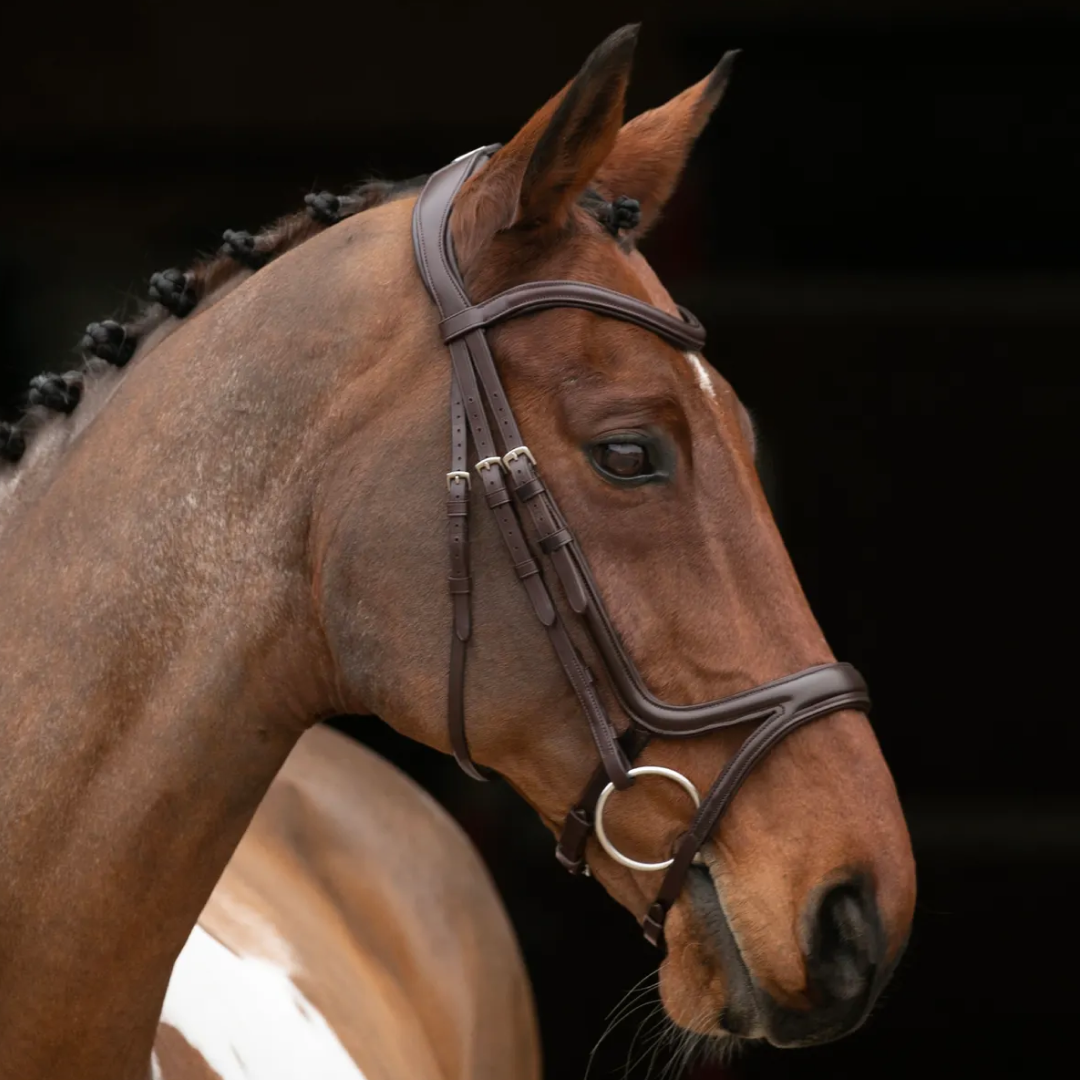 Shires Velociti Rapida Comfort Flash Bridle