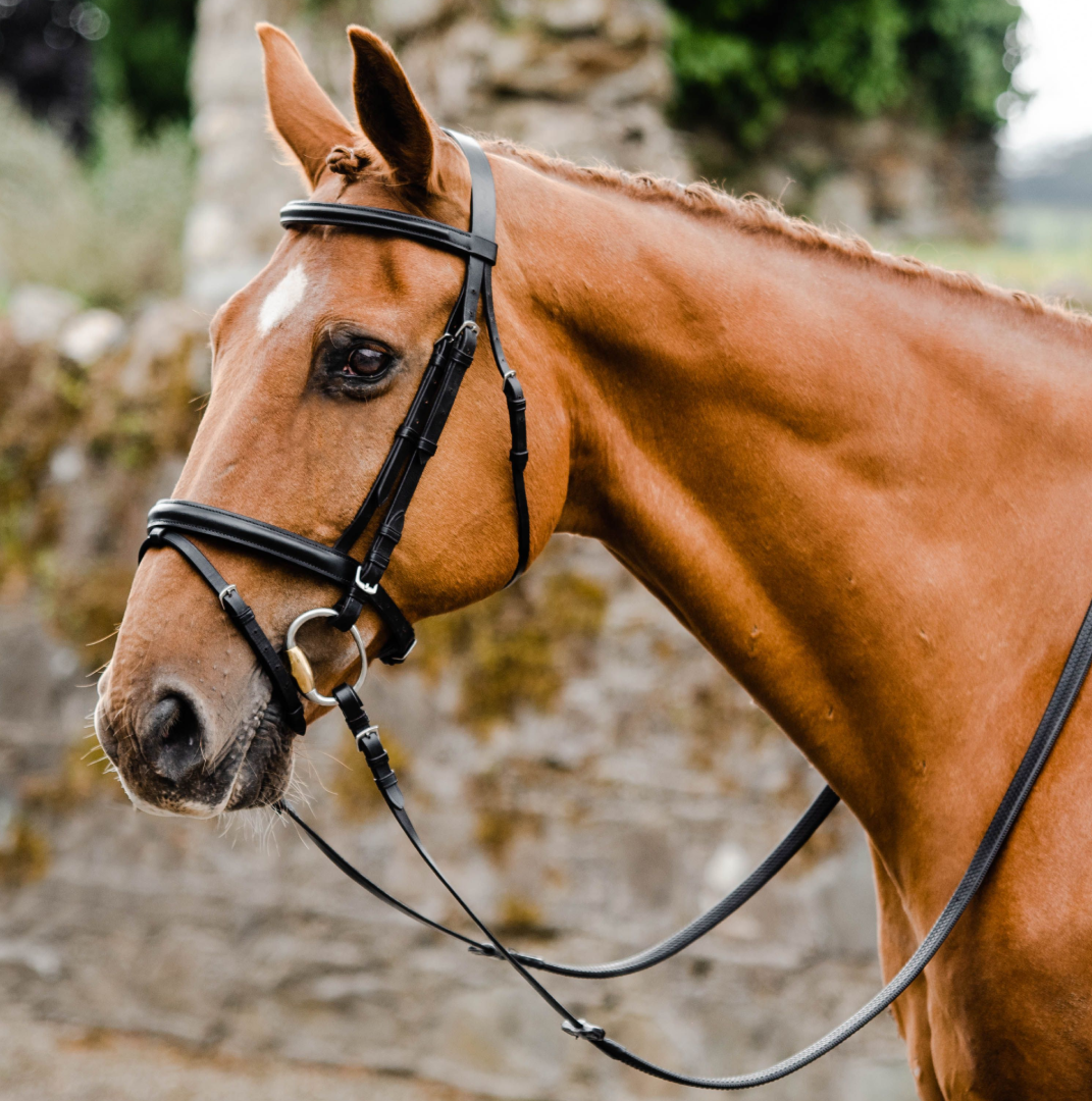 Equi-Sential Bridle with Reins