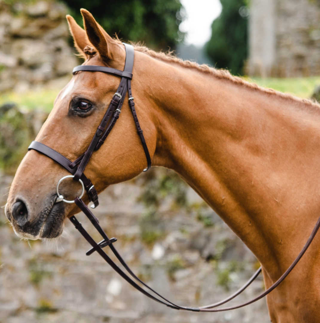 Mackey Classic Hunt Bridle with Reins