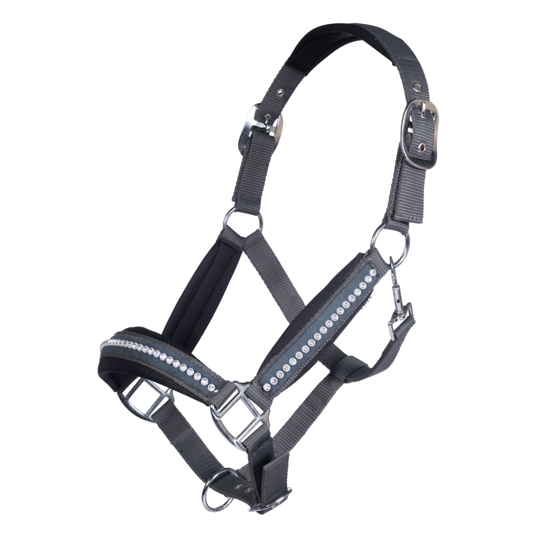 HKM Head collar -Berry-