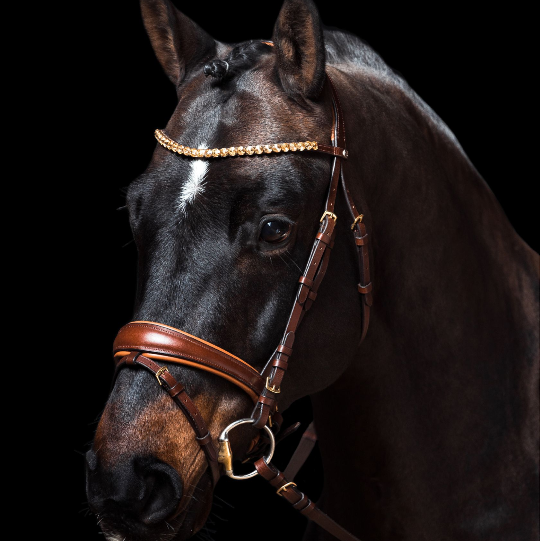 HKM Bridle -Marrakesh-