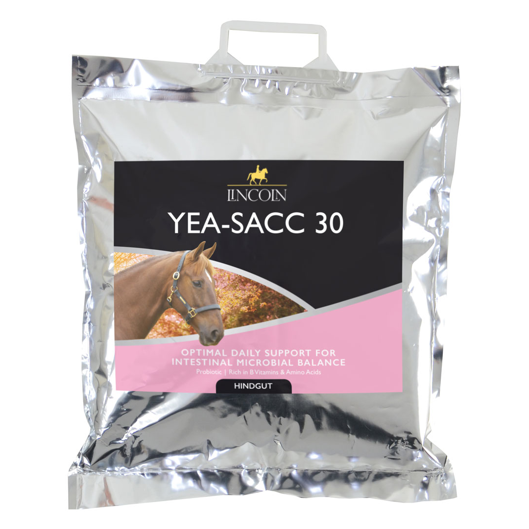 Lincoln Yea-Sacc 30