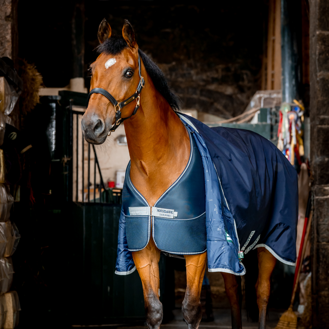 Horseware Dry Liner