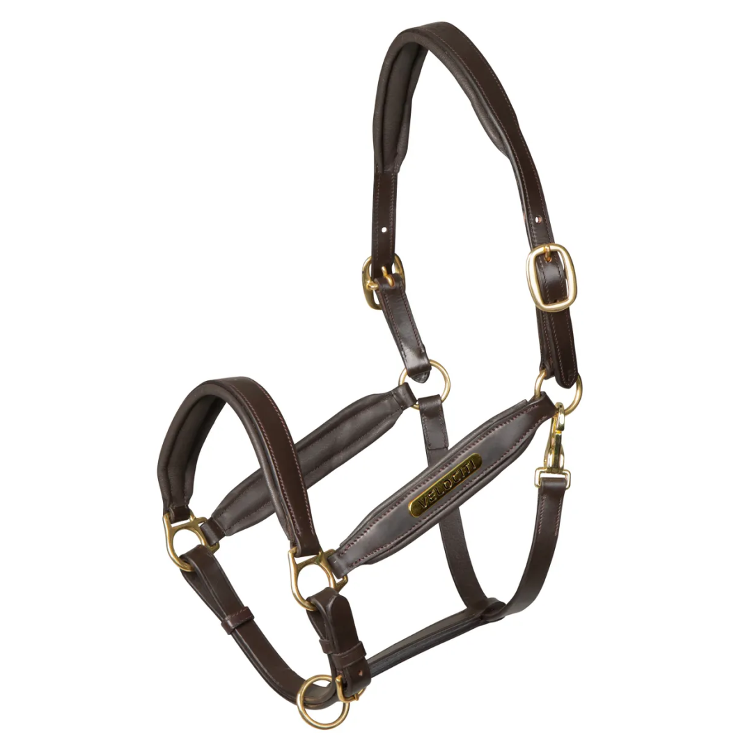 Shires Velociti Gara Leather Headcollar