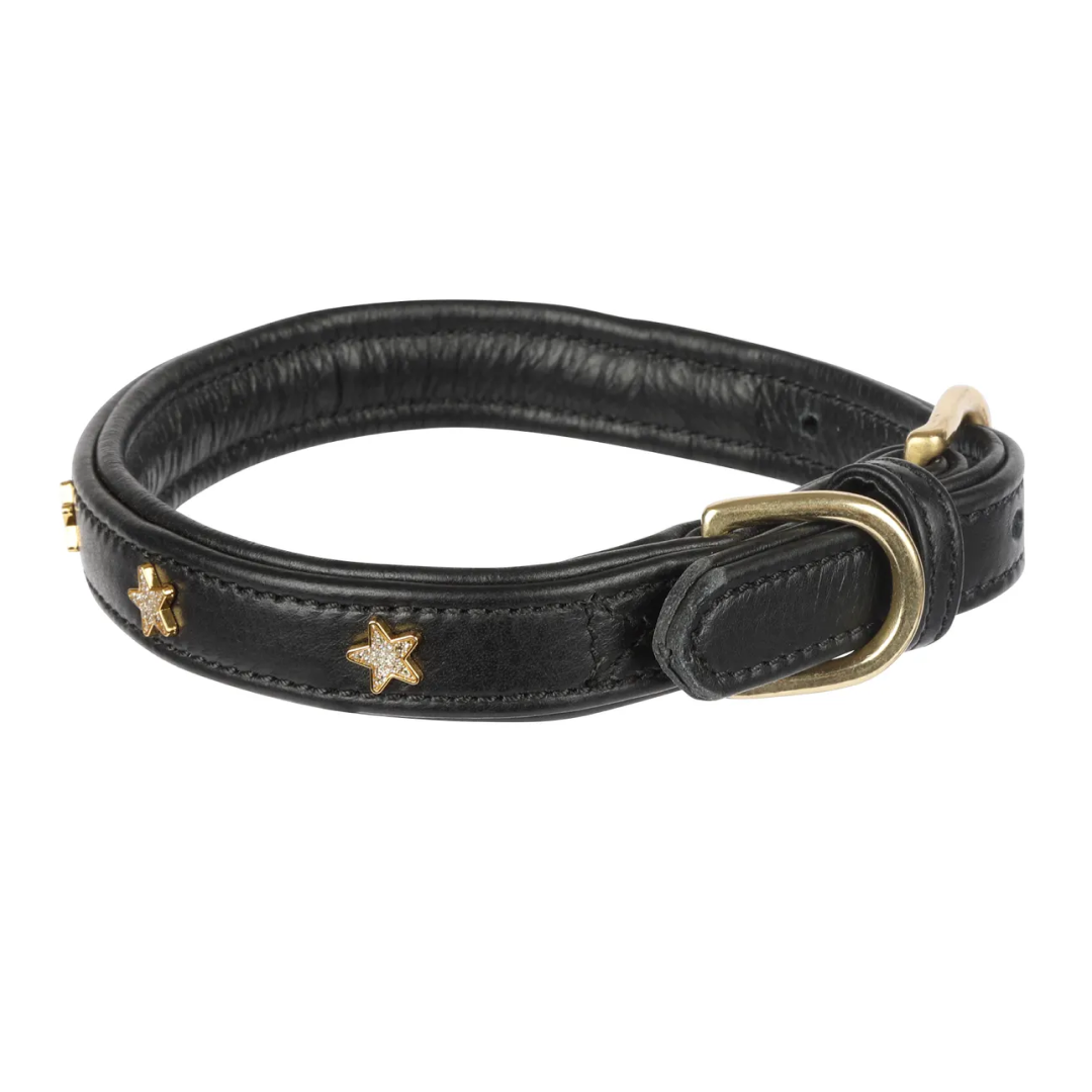 Shires Digby & Fox Star Dog Collar