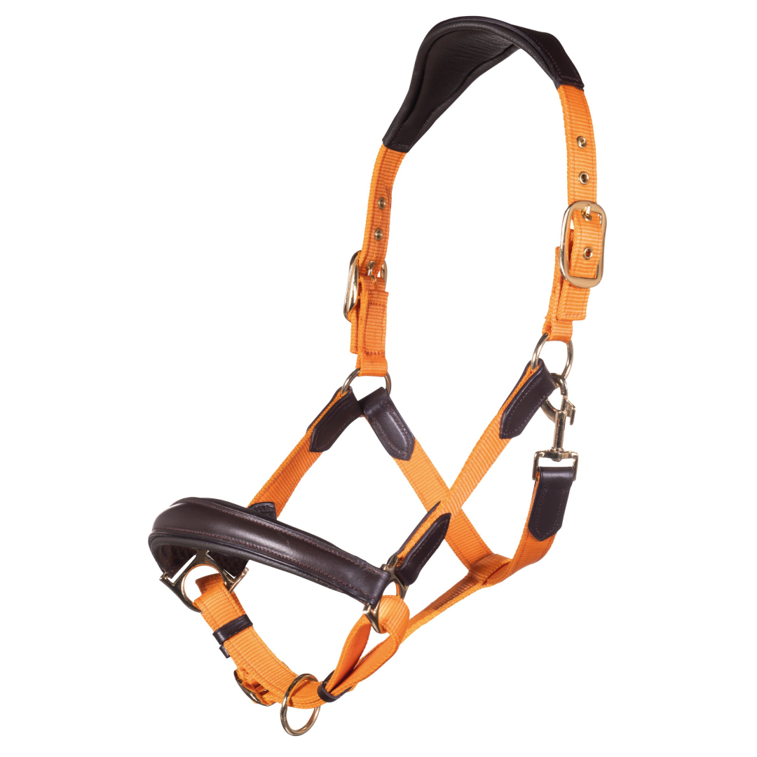 HKM Head Collar -Marrakesh- Leather & Nylon