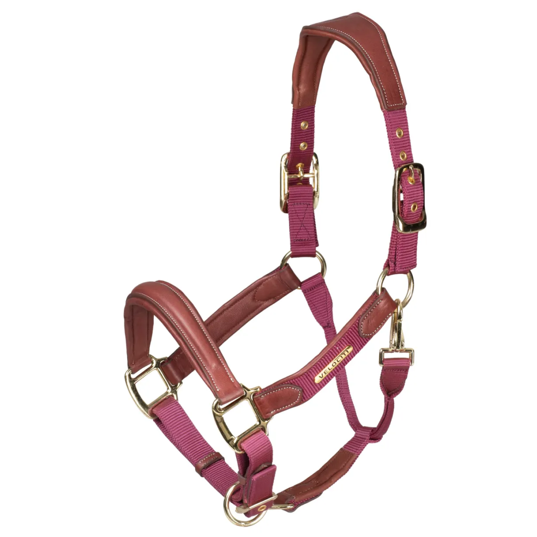 Shires Velociti Lusso Padded Leather Headcollar