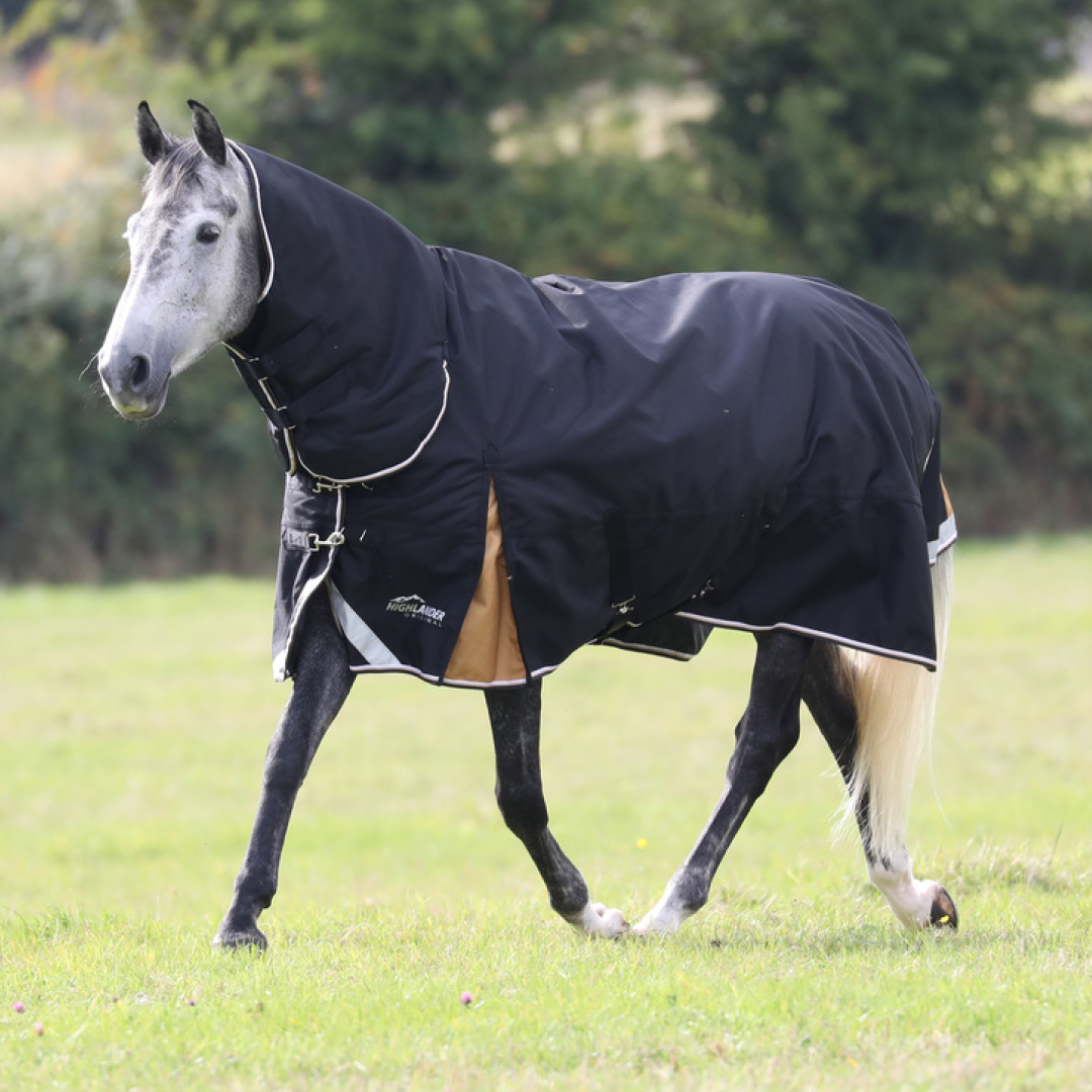 Shires Highlander Plus 200g Combo Turnout Rug