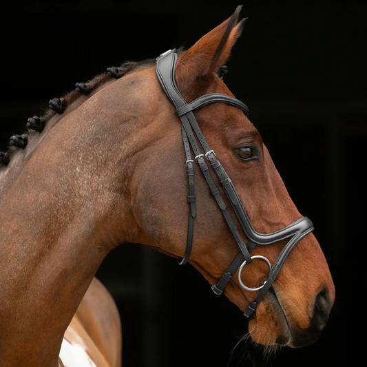 Shires Velociti Lusso Comfort Flash Bridle
