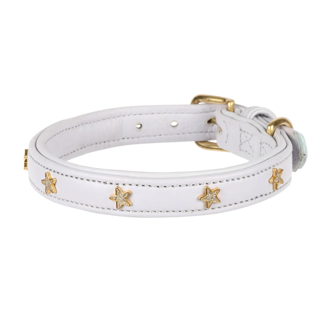 Shires Digby & Fox Star Dog Collar