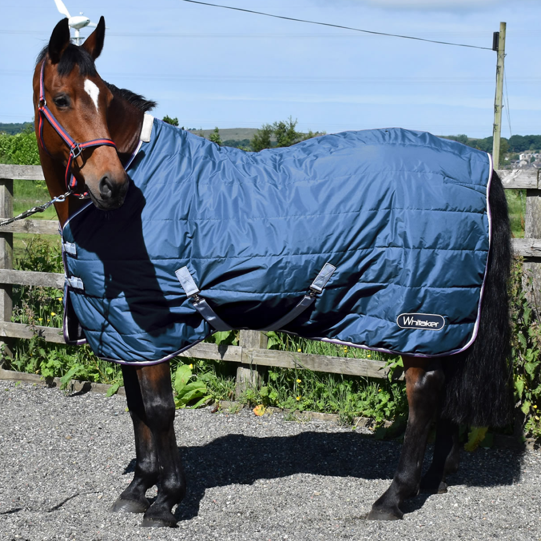 Whitaker Crompton 100g Stable Rug