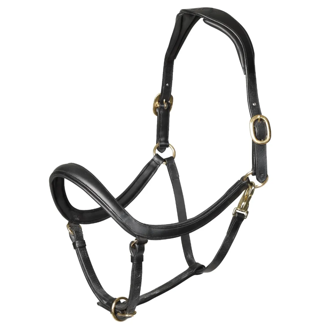 Shires Velociti Rapida Curved Leather Headcollar