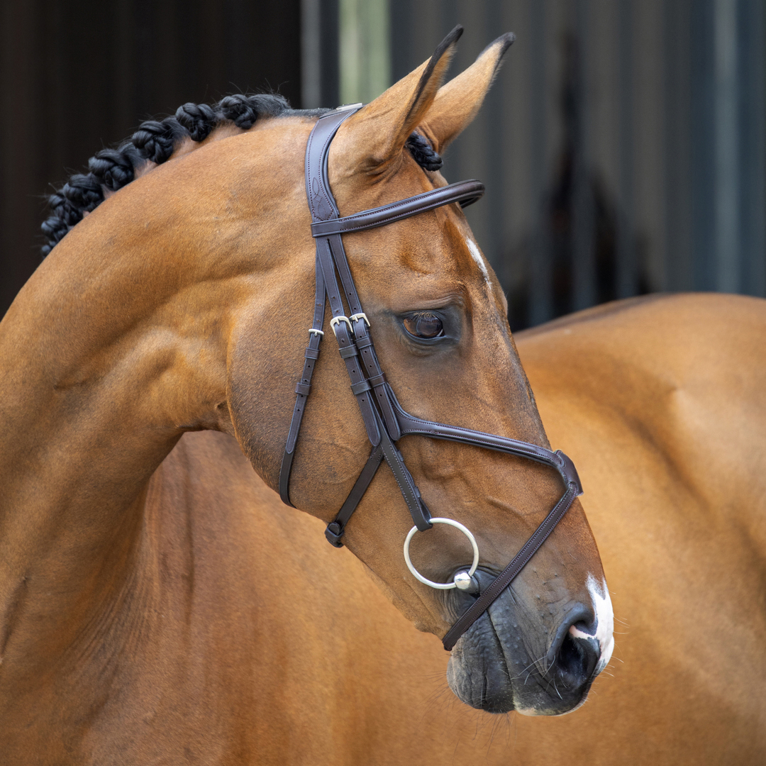 Shires Lusso Grackle Bridle