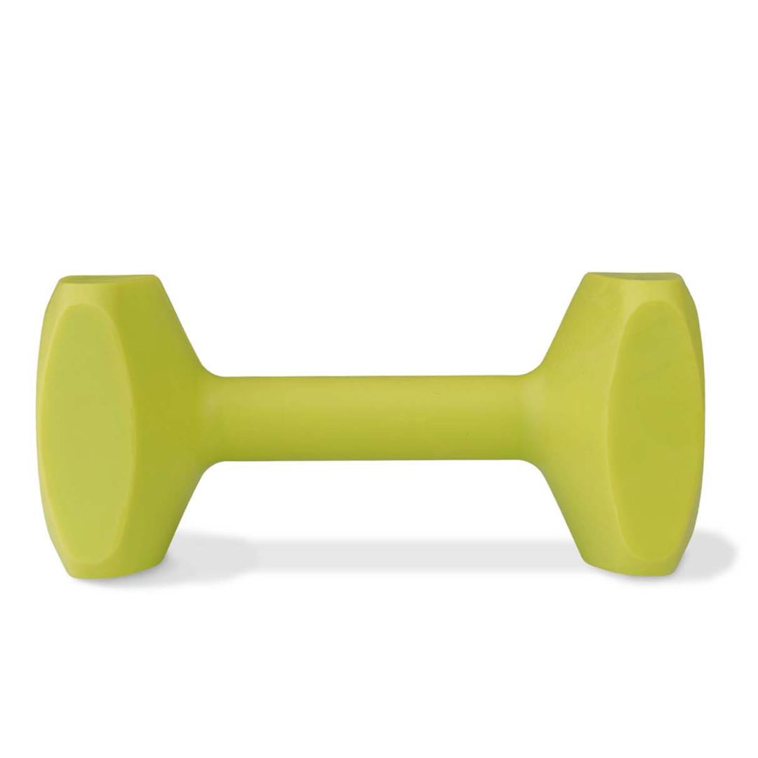 Coachi Training Dumbbell