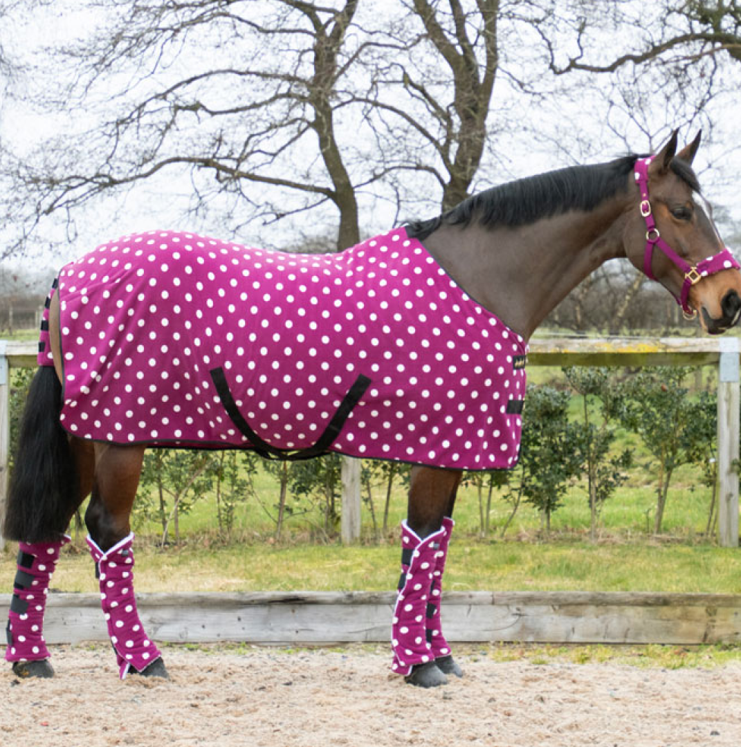 Supreme Products Dotty Fleece Rug
