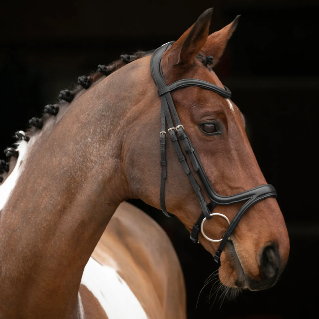 Shires Velociti Rapida Comfort Flash Bridle