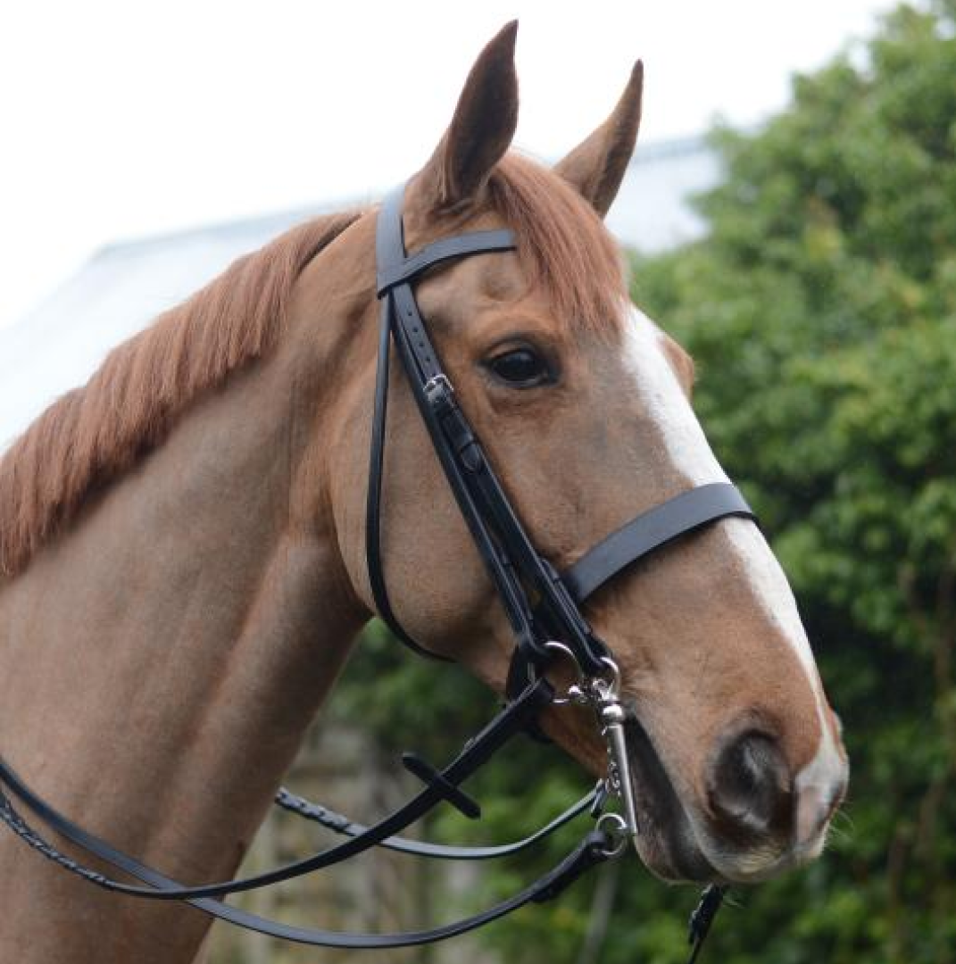 Mackey Classic Double Bridle