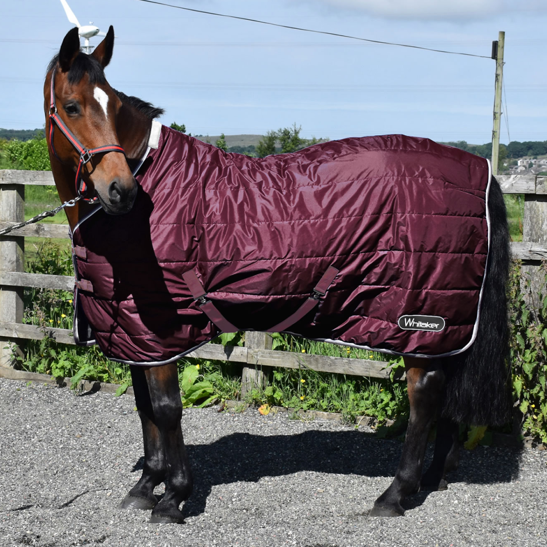 Whitaker Crompton 100g Stable Rug