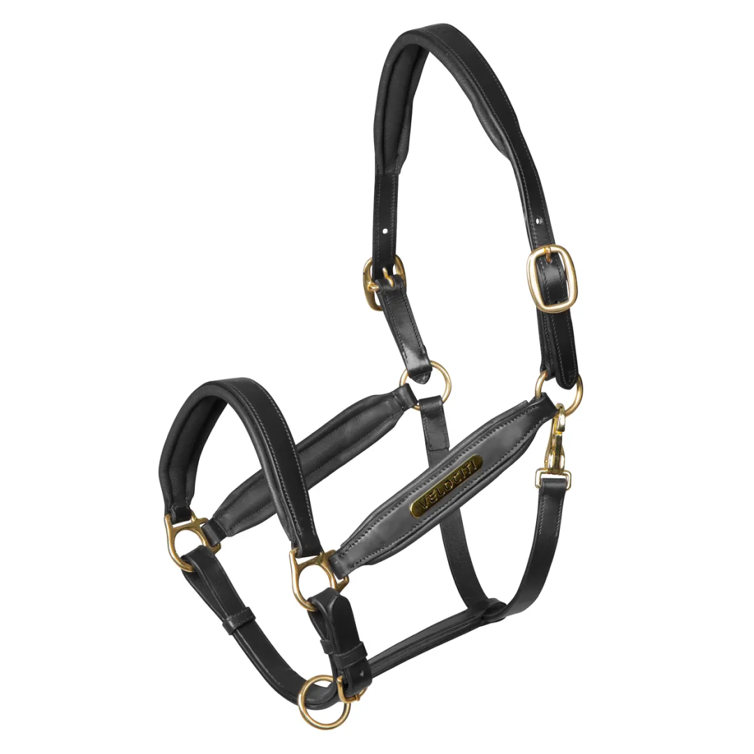Shires Velociti Gara Leather Headcollar
