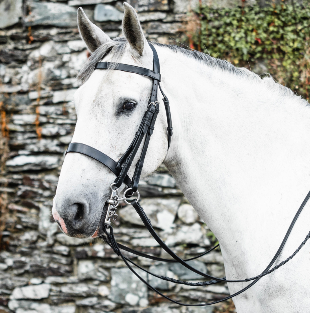 Mackey Classic Double Bridle